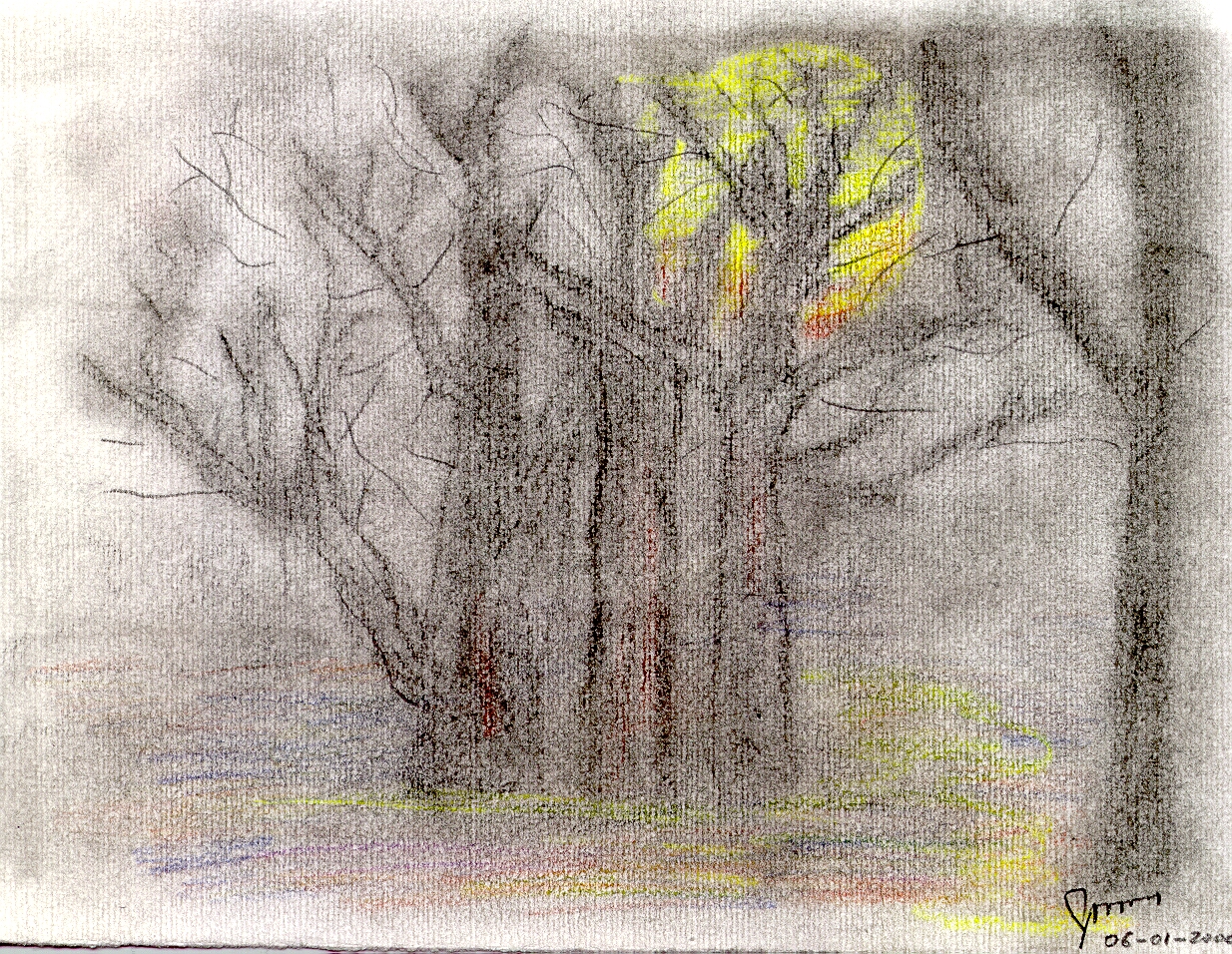 Csupasz ágak közül