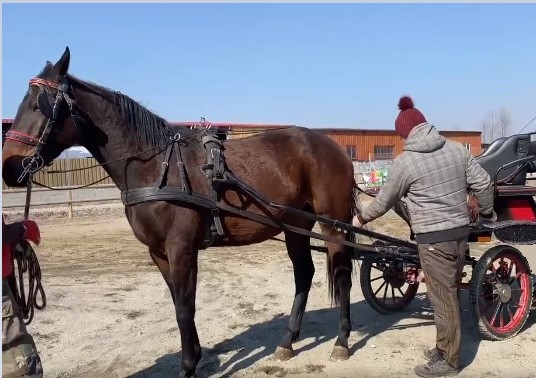 Az Újbarázda pénze